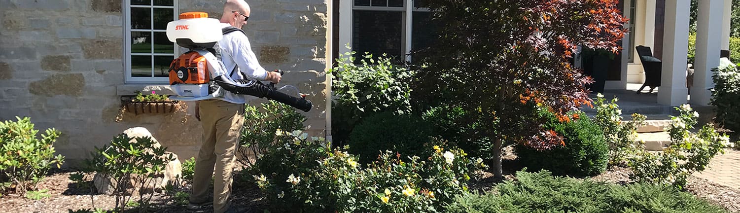 mosquito-spraying Mosquito Spraying